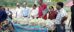 nbuaa.org Photos